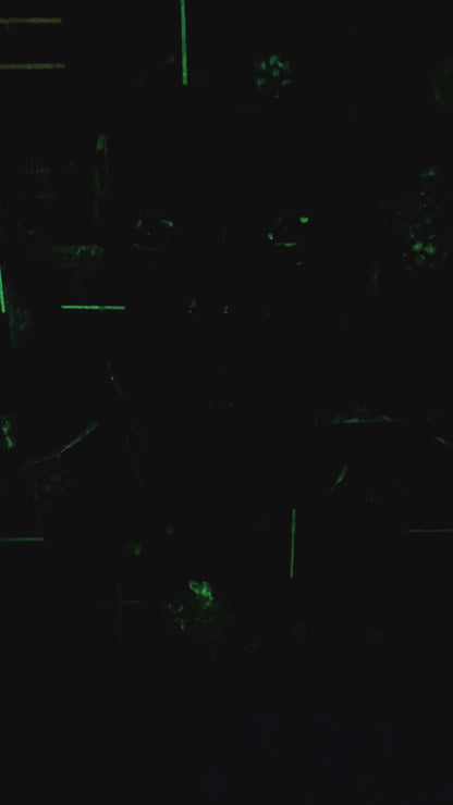 THE SINGULARITY